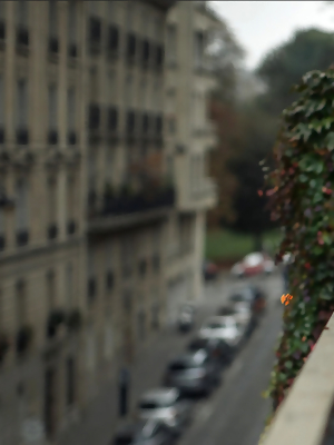 Morning In Paris